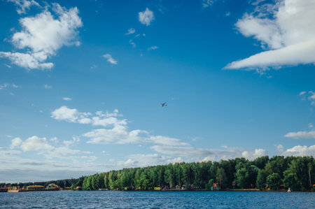 View from the board of a sailing yacht on the waters, sailing ships and the forest growing along the...