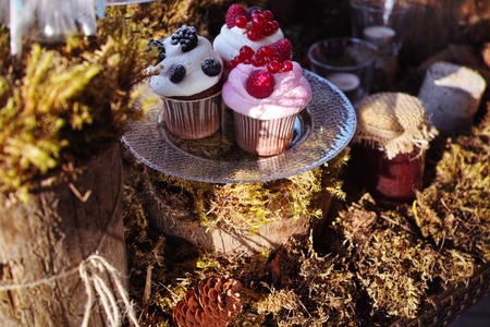Forest Candy bar, decorated with fresh berries with delicious cakes. Wedding decor decorations for weddings forest. Three cakes decorated with mossの写真素材