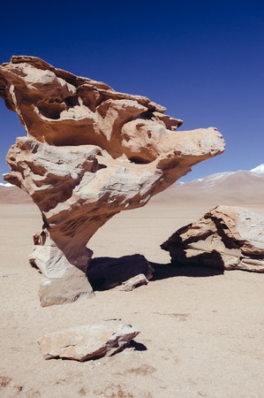 Siloli Desert in Bolivia, stone tree growing out of the sand in the middle of the Andes.の写真素材