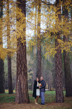 In love couple, pregnant woman and a young father in anticipation of their first child walk in the park.の写真素材