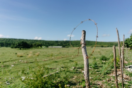Barbed wireの写真素材
