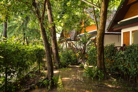 Bungalows are located in the depths of the island among the jungles of Thailand Koh Heの写真素材