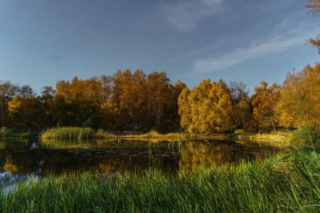 Fall in the Parkの写真素材