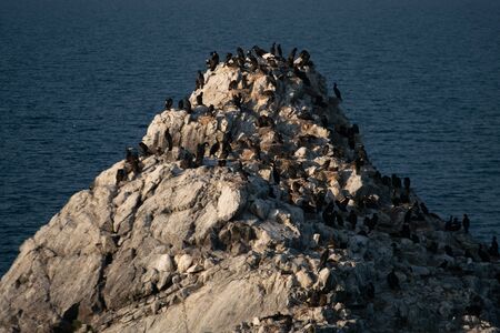 Lake Baikal, Oltrek island. Irkutsk region, Russia.の写真素材