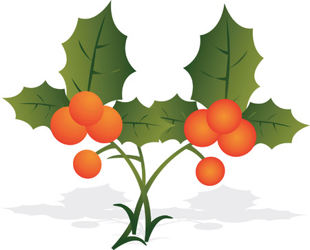 Illustration of two berries with leaves	のイラスト素材