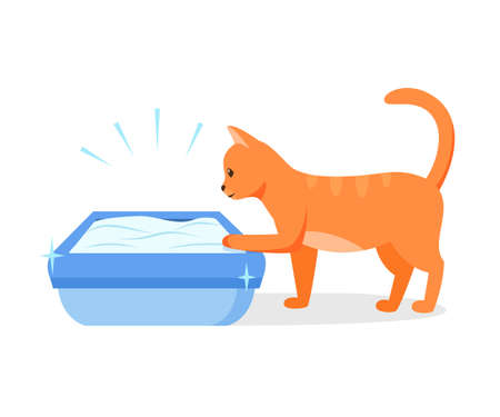 Cat using clean litter box. Right way to maintain cat toilet. Pet toilet hygiene concept. Vector illustrationのイラスト素材
