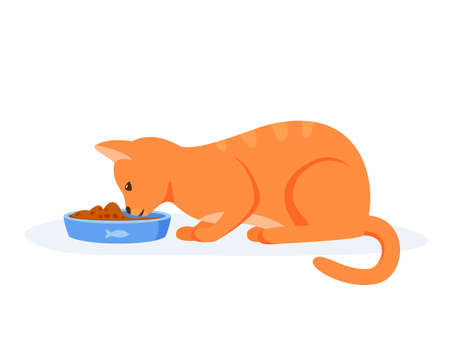Hungry cat eating food from bowl. Red domestic cat having good appetite. Feeding pet with kibble or wet food. Flat style vectorのイラスト素材