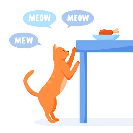 Cat asks for food from table and meows a lot. Pet bags for food. Cat steals from dinner table. Flat style vectorのイラスト素材