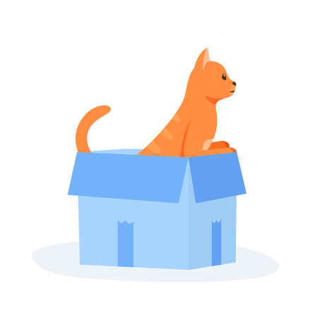 Ginger cat sits in box. Cute indoor pet plays in paper case. Hiding and resting place for fluffy fiend. Flat style vectorのイラスト素材