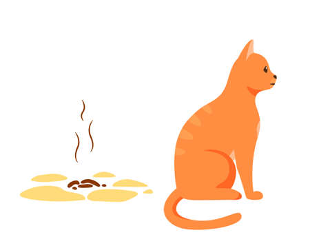 Cat sitting near its poop. Badly behaved pet going to toilet on floor. Pet toilet hygiene concept. Bad smell. Flat style vectorのイラスト素材