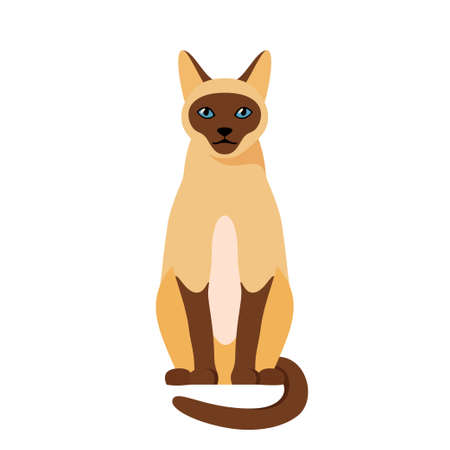 Siamese cat sitting in profile. Cute thai domestic cat. Illustration in flat style.のイラスト素材