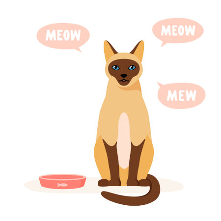Hungry cat asks for food. Pet mews and demands food. Siamese cat sits near empty bowl. Flat style vectorのイラスト素材