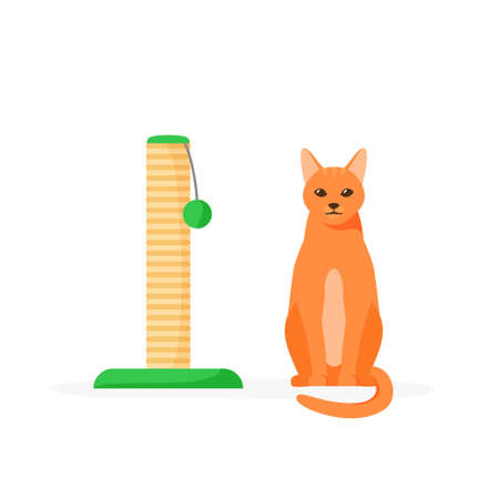 Cat and scratching post. Rope posts for cat to sharpen claws. Cat tree with toys. Supplies and accessories for domestic pets. Flat style vectorのイラスト素材