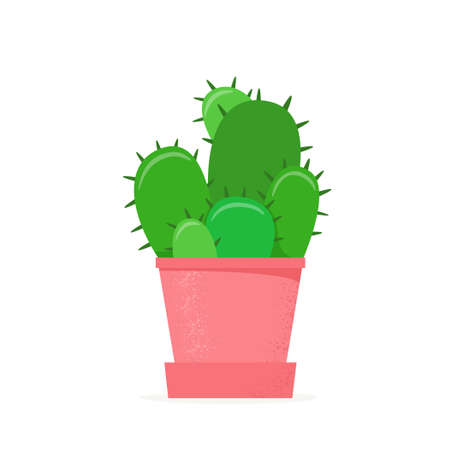 Cactus in a flat style. Home cacti in flower pot. House succulent. Vector illustrationのイラスト素材