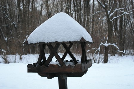  feeding-rack in the winter forestの写真素材