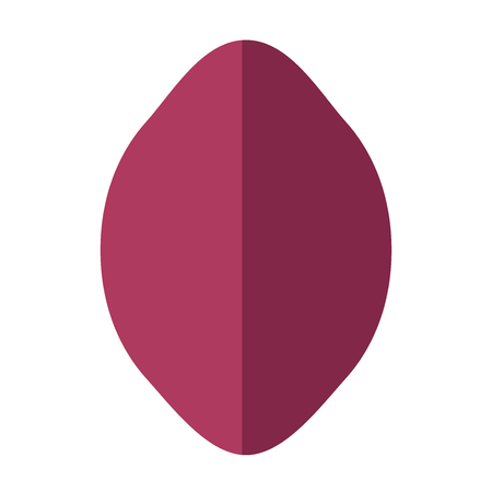 Lemon vectorのイラスト素材