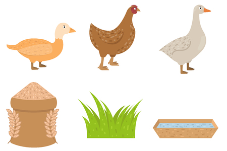 Duck, goose, chicken icons in flat style, food for poultry vector illustrationのイラスト素材