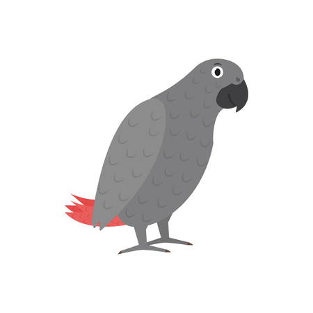 Jaco parrot icon in flat style, african animal vector illustrationのイラスト素材