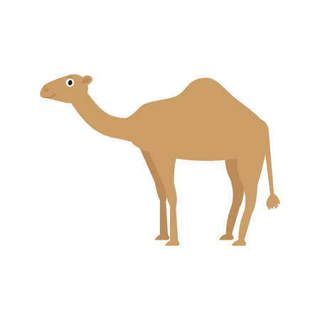 Camel icon in flat style, african animal vector illustrationのイラスト素材