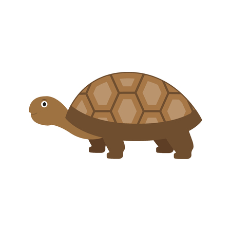 Spurred Tortoise icon in flat style, african animal vector illustrationのイラスト素材