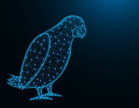 Jaco parrot low poly model, African animal abstract graphics, bird polygonal wireframe vector illustration on dark blue backgroundのイラスト素材