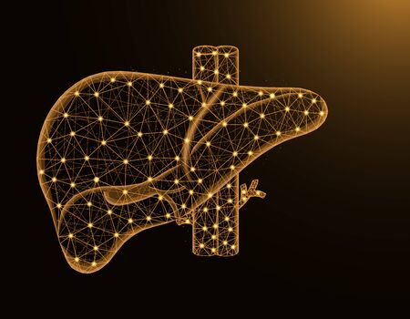 Liver with artery and veins low poly model, human organs abstract graphics, anatomy polygonal wireframe vector illustration on dark yellow backgroundのイラスト素材