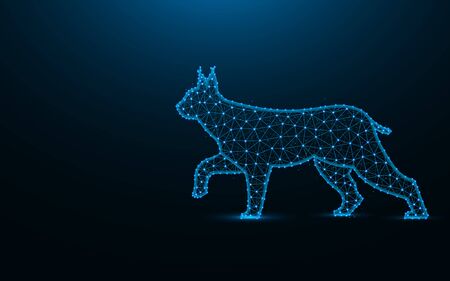 Lynx low poly design, wild cat wireframe mesh polygonal vector illustration made from points and lines on dark blue backgroundのイラスト素材