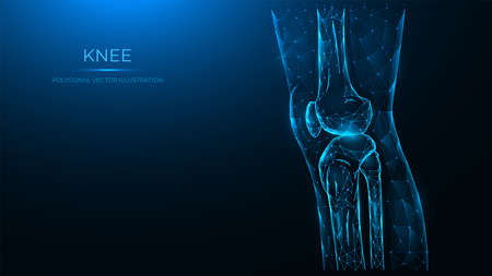 Polygonal vector illustration of the knee joint side view. Thigh and knee made of lines and dots are isolated on a dark blue background.のイラスト素材