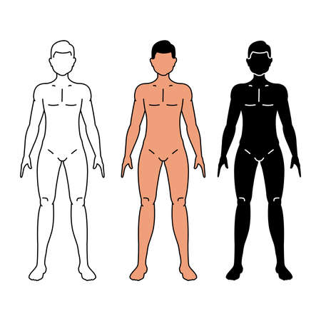Male body vector illustration isolated on white background.のイラスト素材