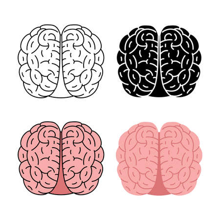 Healthy human brain vector illustration isolated on white backgroundのイラスト素材