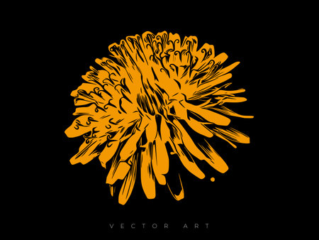 Vector illustration of a dandelion flower isolated on a black background. Contemporary wall art, poster or cover art.のイラスト素材