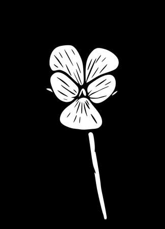 Vector illustration of a field violet flower. Modern floral art, isolated on a black background. Viola arvensis.のイラスト素材