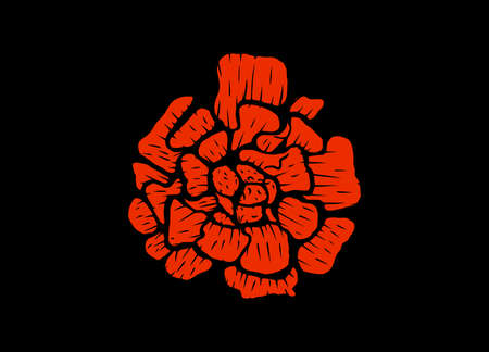 Abstract vector illustration of a marigold flower. Modern floral art isolated on a black background.のイラスト素材