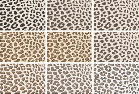 Vector set of trendy leopard prints.のイラスト素材