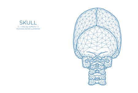 Human skull low poly art. Polygonal vector illustration of a skull back view.のイラスト素材