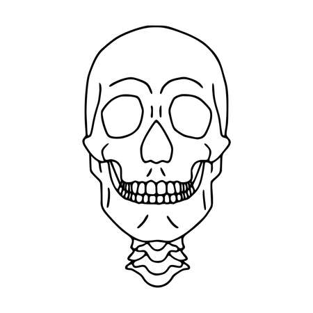Human skull outline icon, front viewのイラスト素材
