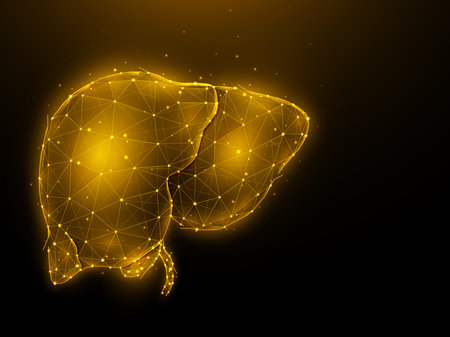 Abstract polygonal vector illustration of a human liver on a dark background. Digestive gland,...