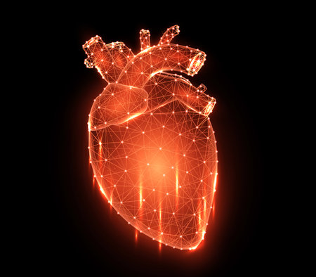 Polygonal vector illustration of a red heart on a black background, human internal organ. Medical cardiology banner, template or background.のイラスト素材