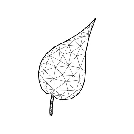 Leaf vector illustration in polygonal style, isolated on white backgroundのイラスト素材