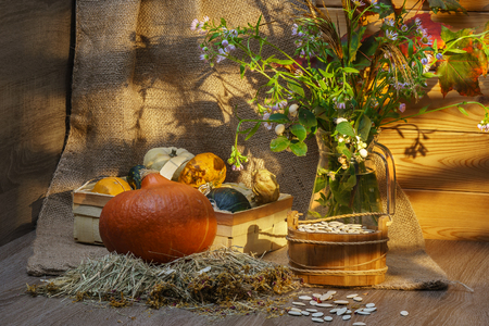 Still life with pumpkins and flowersの写真素材
