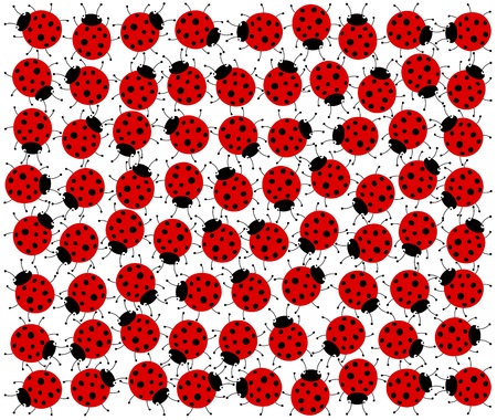 ladybugsのイラスト素材