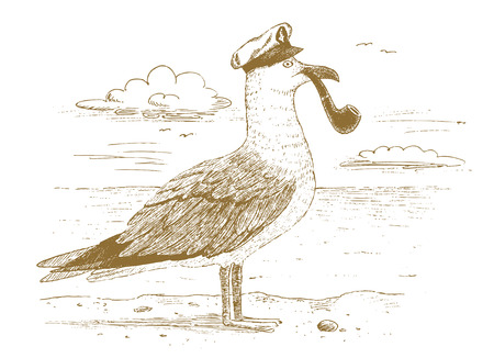 Seagull captain drawn by handのイラスト素材