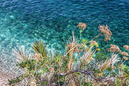 Sea beach, summer natural landscapeの写真素材