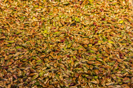 gozinaki - Turkish delights, nut sweet dessert, Istanbulの写真素材