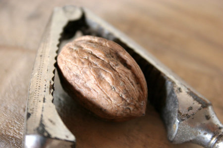 nutcracker and walnut