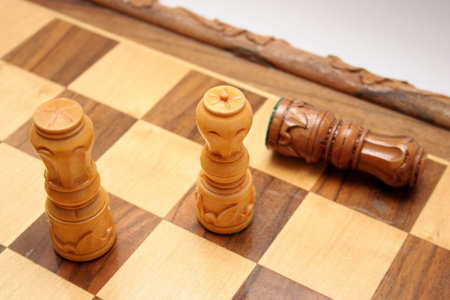 King crashed, checkmate