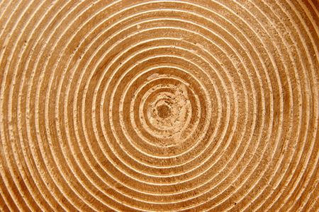 wooden structureの写真素材