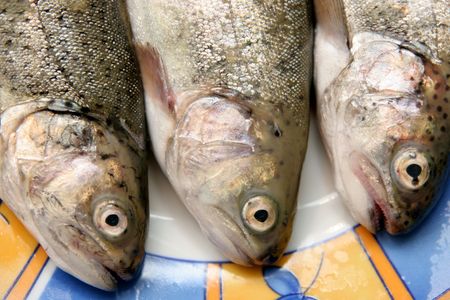 fish prepared for cooking in steamの写真素材