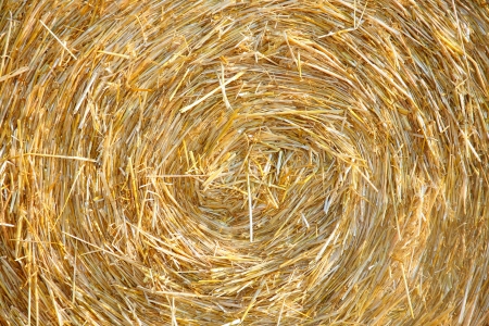 Detials close up shot of Wheat Haystack in farmer fieldの写真素材