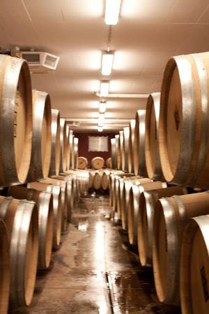 Wine barrels in cellar. Cavernous wine cellar with stacked oak barrels for maturing red wine.の写真素材